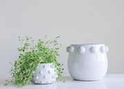 Dotted Terra Cotta Planter