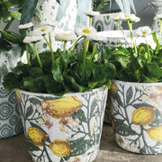 Plant Pot with Design
