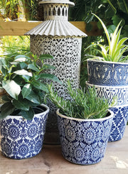 Plant Pot Delphi Midnight