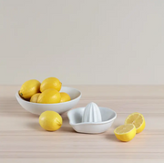 Organics Citrus Squeezer