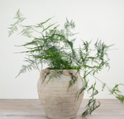 Stone Medora Vase