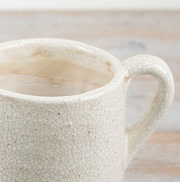 Jolee Jug
