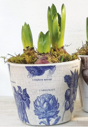 Plant Pot Potager