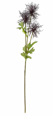 66cm Echinops - Rich Purple