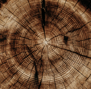 Mini Fragranced Candles