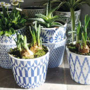 Plant Pot with Design