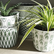 Plant Pot with Design